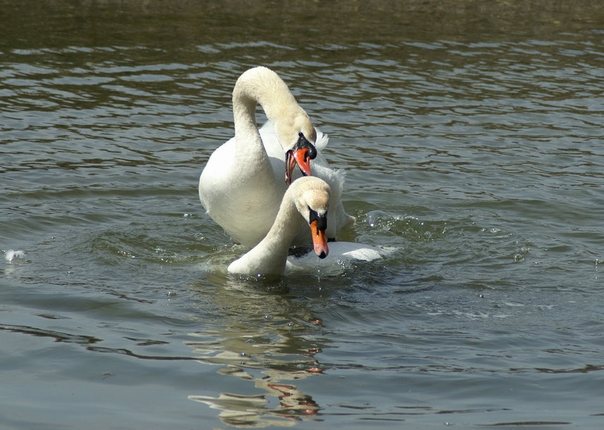 2008-04-10-11-45-01w