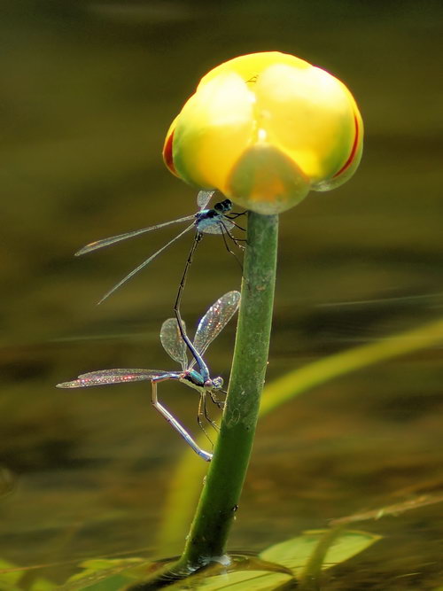 20130722121420 (2)-3x4w